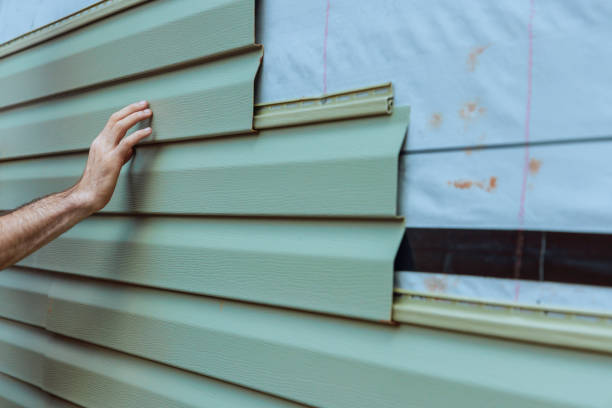 Best Vinyl Siding Installation  in Mount Gay Shamrock, WV